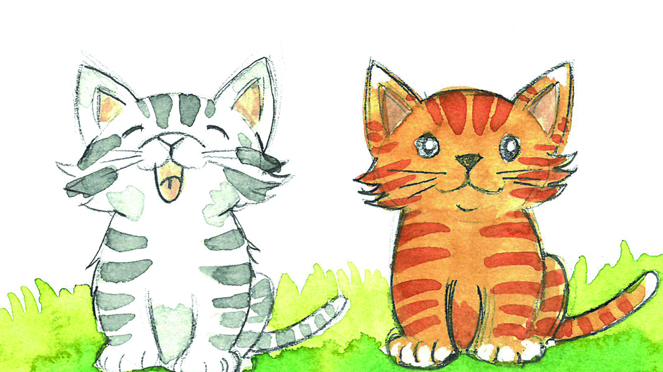 Illustrate junior IV